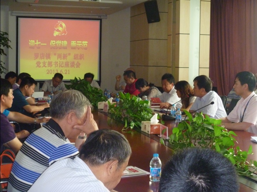 “迎七一 促党建 垂示范”<br>——罗店镇举办“两新”组织党支部书记培训班