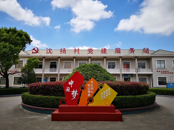 沈村镇人口_人口普查(2)