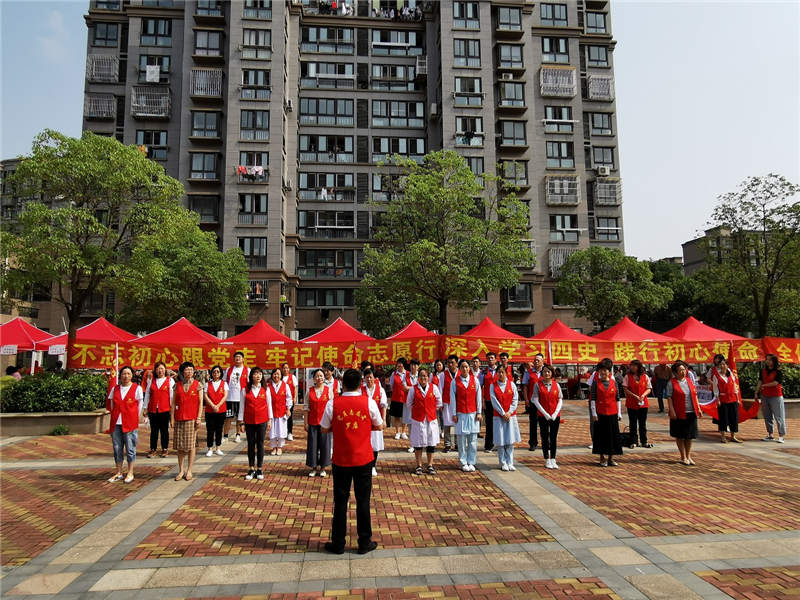 党员志愿者参与人口普查(3)