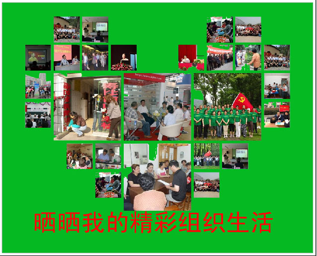 相聚在党旗下—晒晒我的精彩组织生活<br>展评活动进入公众投票阶段
